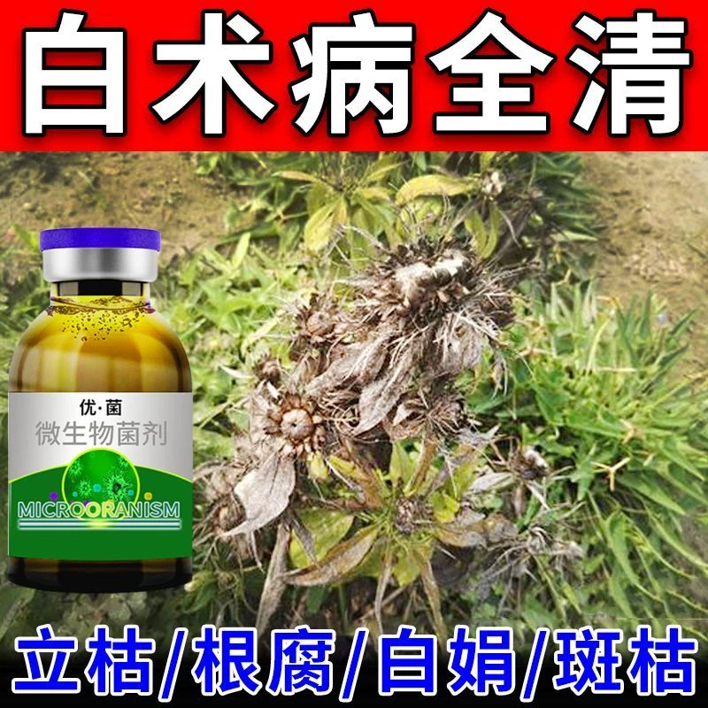 白术病专用药病荃管白术铁叶病白粉病叶斑病立枯褐斑根腐病杀菌剂