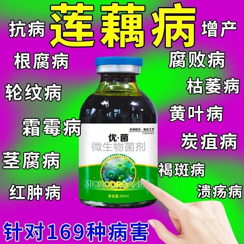 莲藕病全治莲藕专用剂专治全杀腐败病褐斑病病毒病杀菌