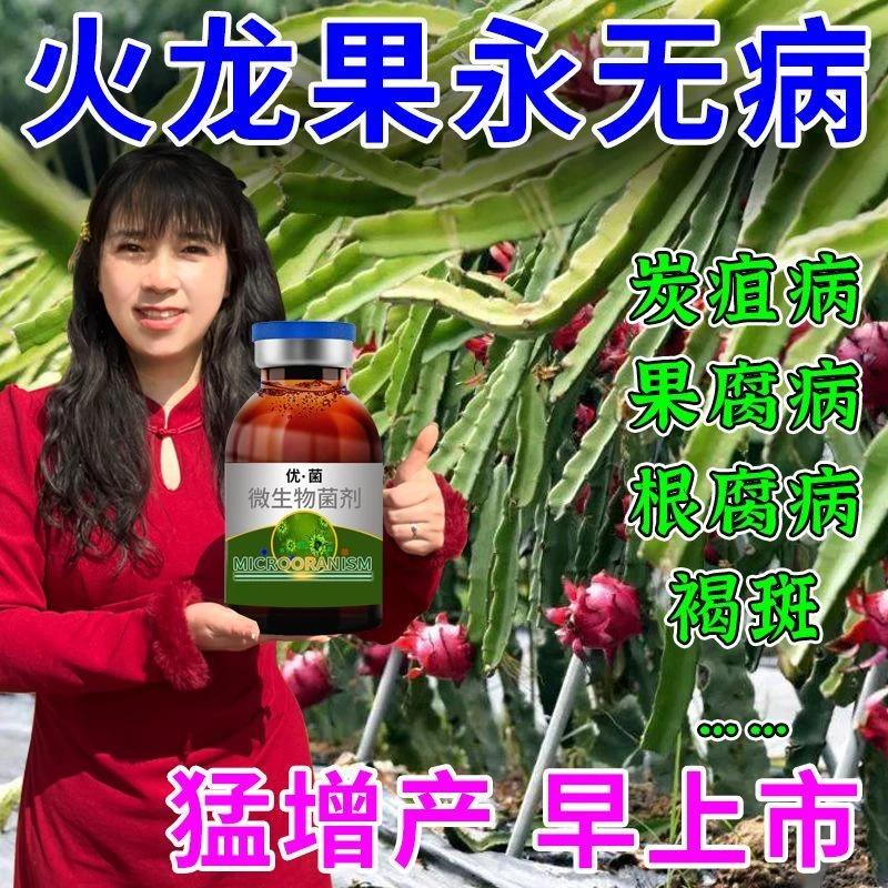 火龙果病全治火龙果黄斑病茎枯病溃疡病软腐哈茨木霉剂专用药