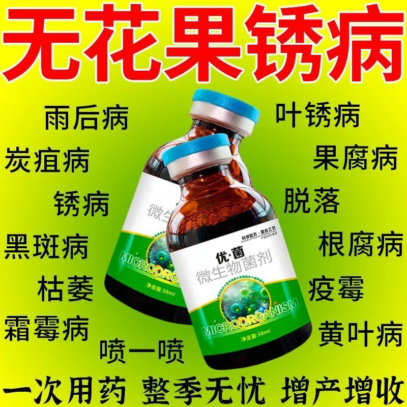 无花果锈病专用肥料落叶灰斑病根腐病炭疽病枝枯病全管微生物菌肥