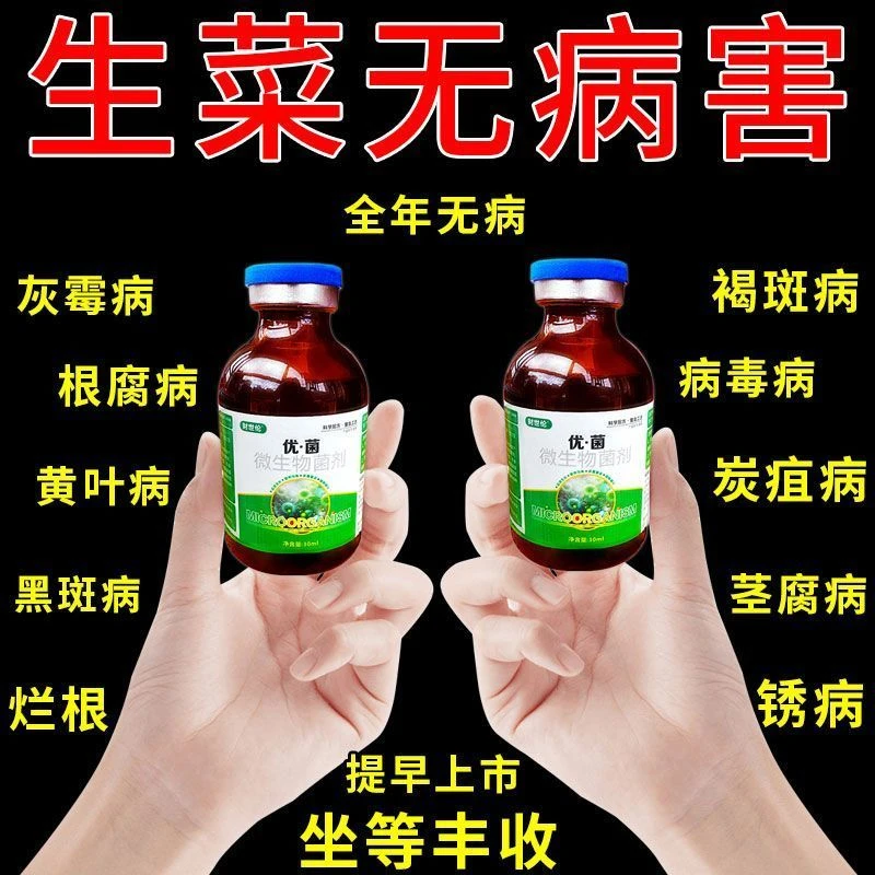 生菜专用药生菜叶焦病软腐病烂根烂叶剂病全治生菜散心叶面肥