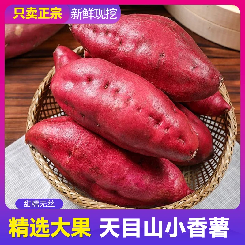 5斤大果正宗天目山新鲜现挖小香薯中大地瓜番薯农产品粗粮优选