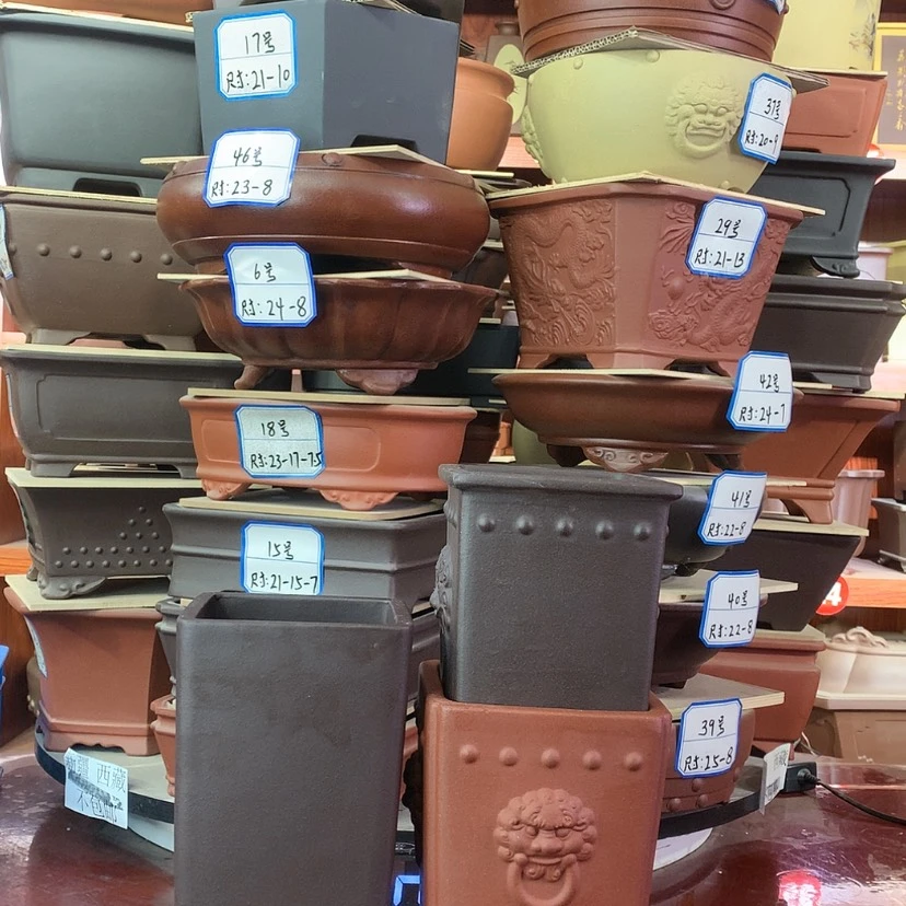 【闪购商品】紫砂20CM以下雨*天