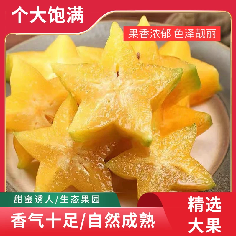 新鲜杨桃6个装果园产地发货树上自然成熟天然鲜嫩饱满多汁浓郁