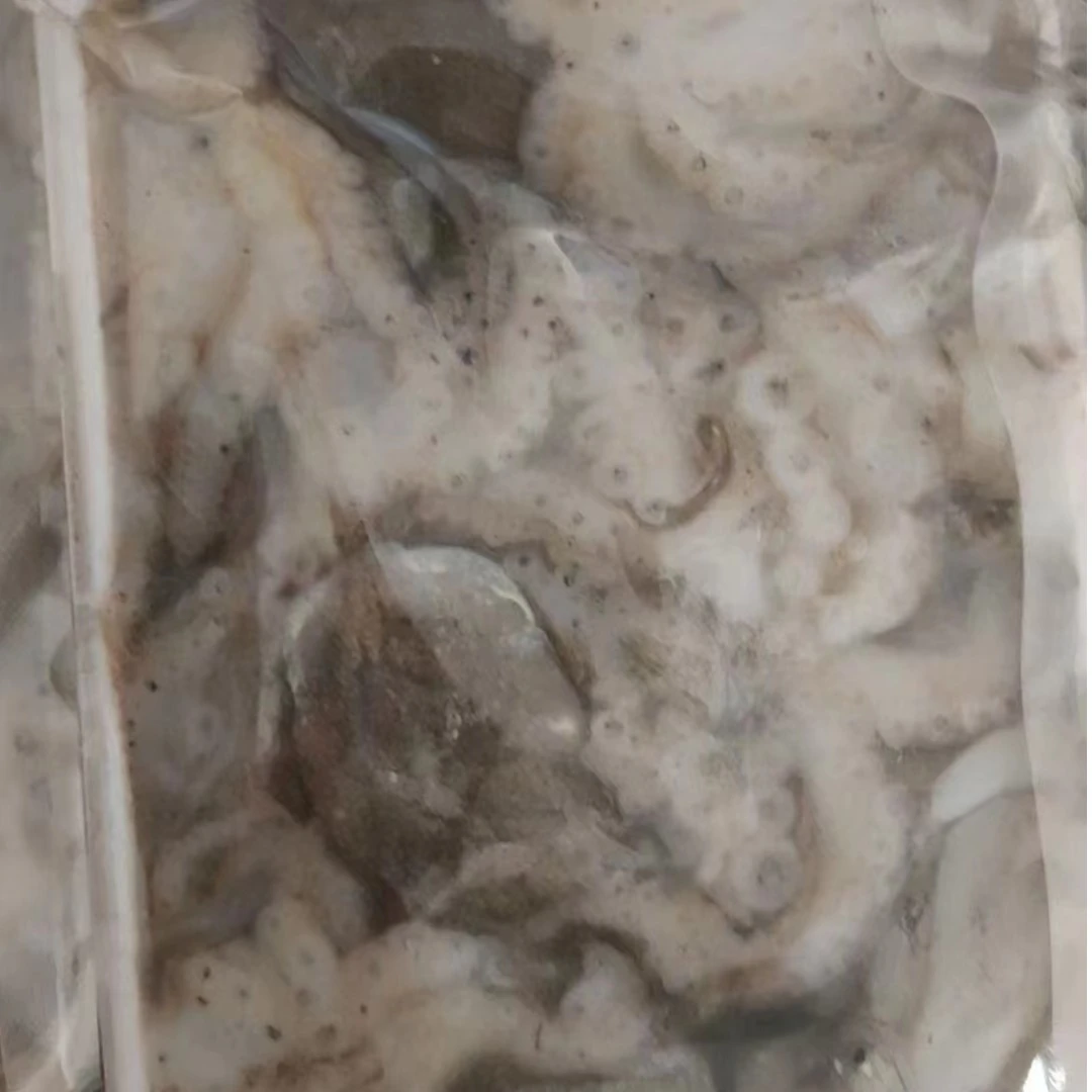 莱州湾章鱼三山岛船捕八爪鱼（真空包装发货）