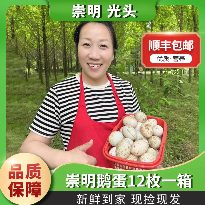 崇明土鹅蛋散养鹅蛋土鹅蛋12枚净重2斤半到3斤农产品
