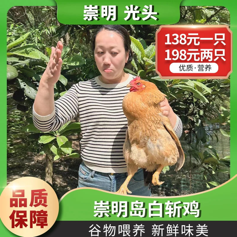 农家散养清蒸鸡 童子鸡 嫩母鸡 杀好2斤半 包冰率不含冰