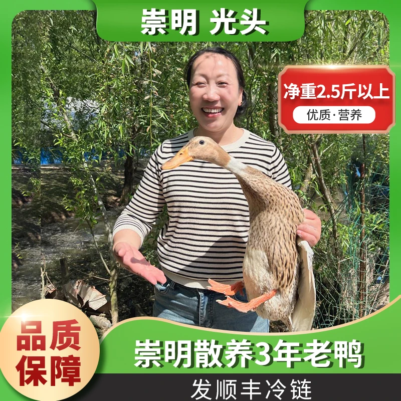 崇明散养老鸭 散养三年以上 老鸭  杀好 2.5斤