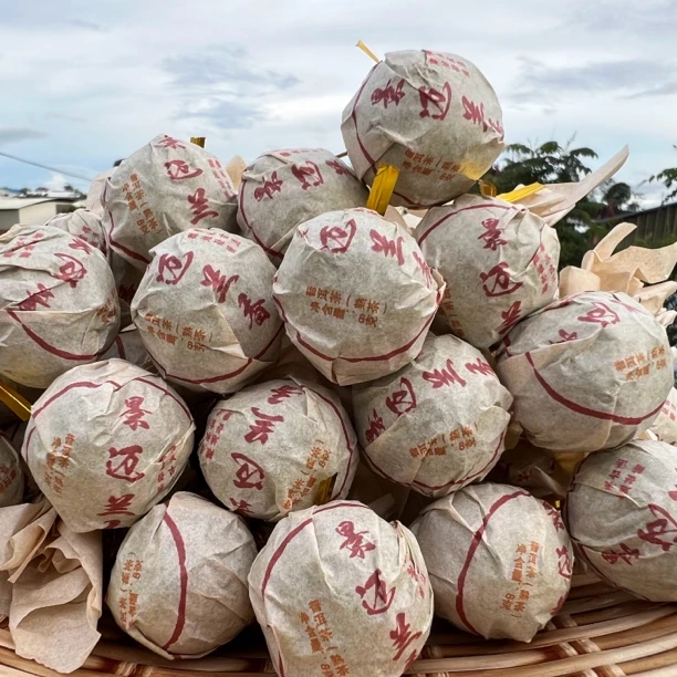 代拍2014年滑竹梁子 龙珠