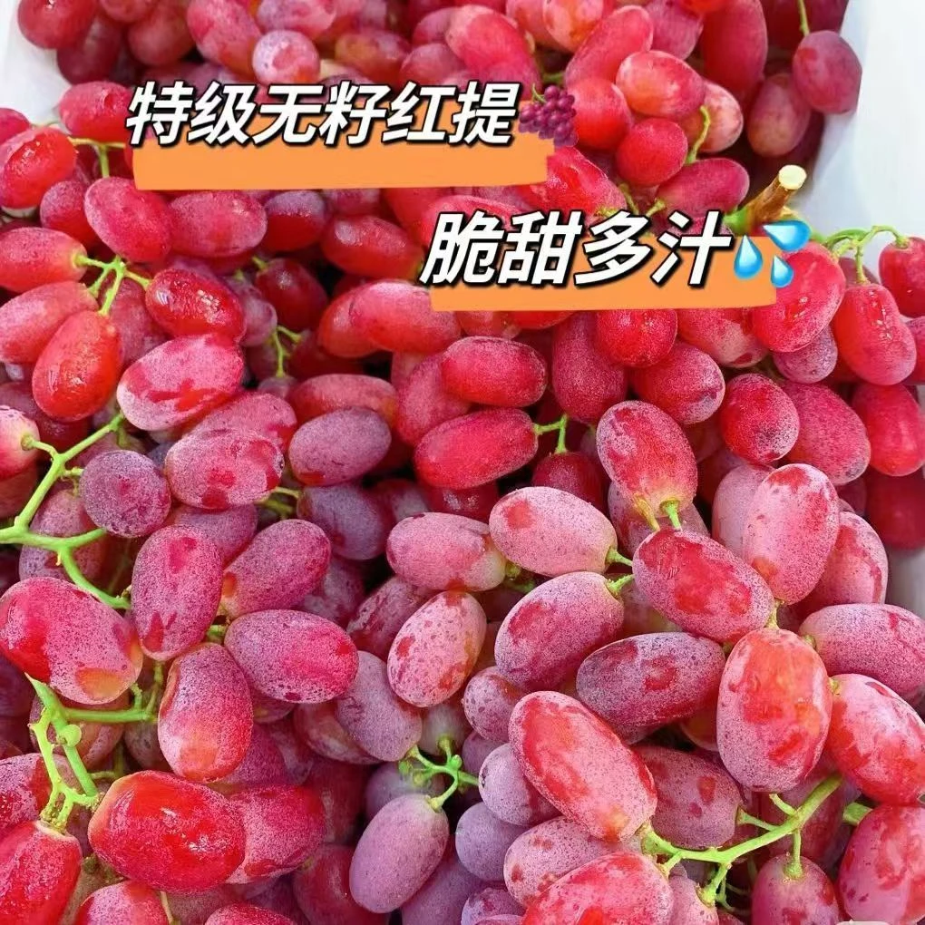 新鲜提子5斤当季现摘克伦生无籽红提子冰美人红宝石葡萄孕妇水果