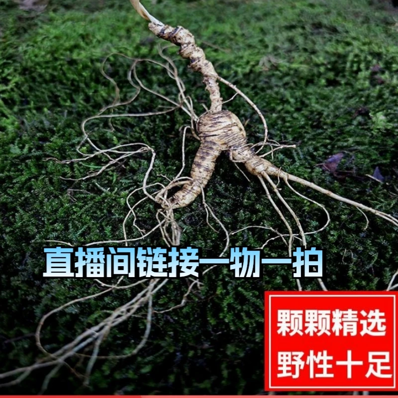 长白山林下参直播间改价链接一物一拍