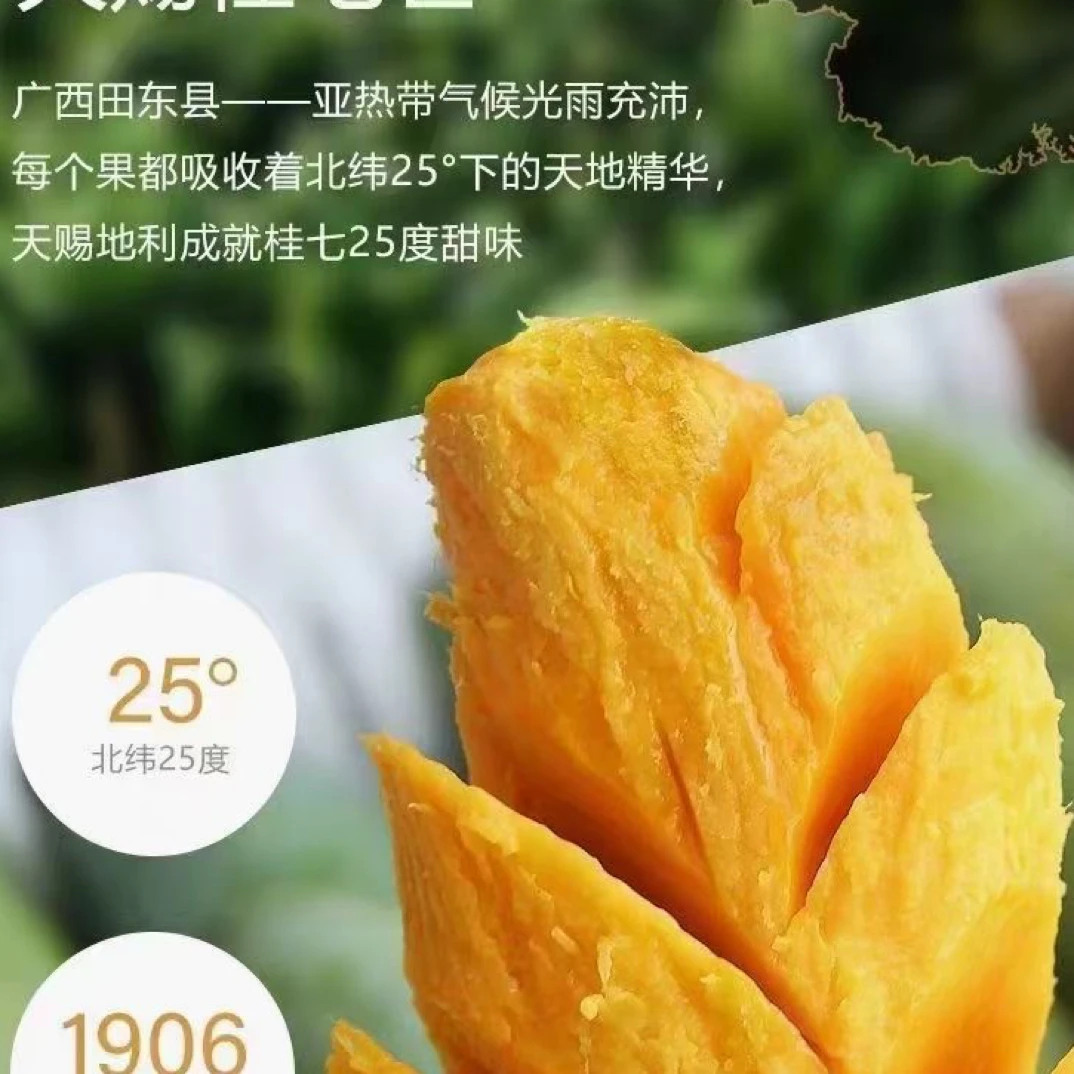 【催熟后食用】正宗田东桂七芒果【热销】大果果地现摘直发，甜得过分