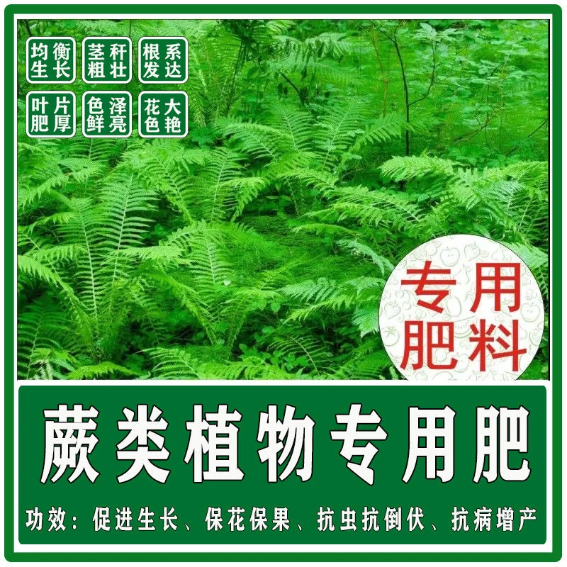 蕨类植物专用有机肥复合肥底肥追肥冲施叶面肥水溶肥粗壮促生长