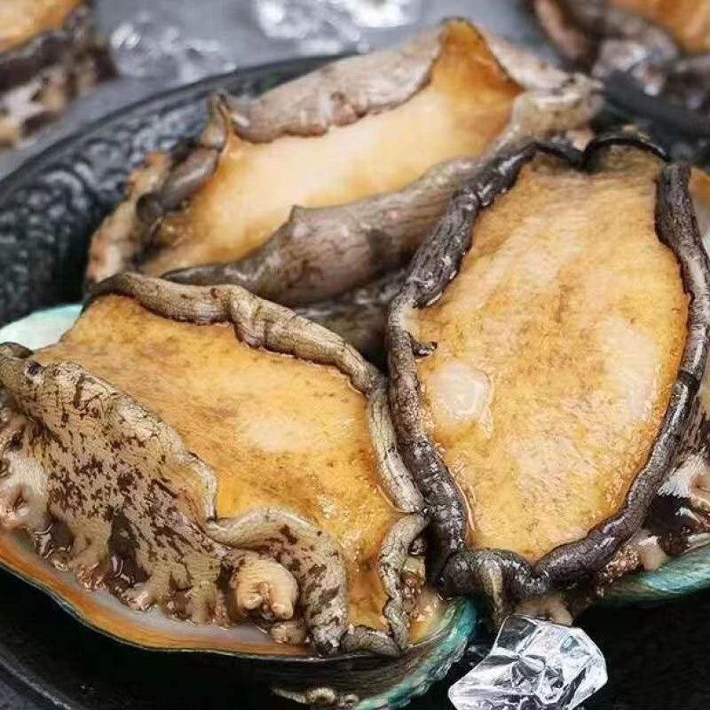 冷冻大连鲍鱼 塑封包装 4-8只装 顺丰包邮