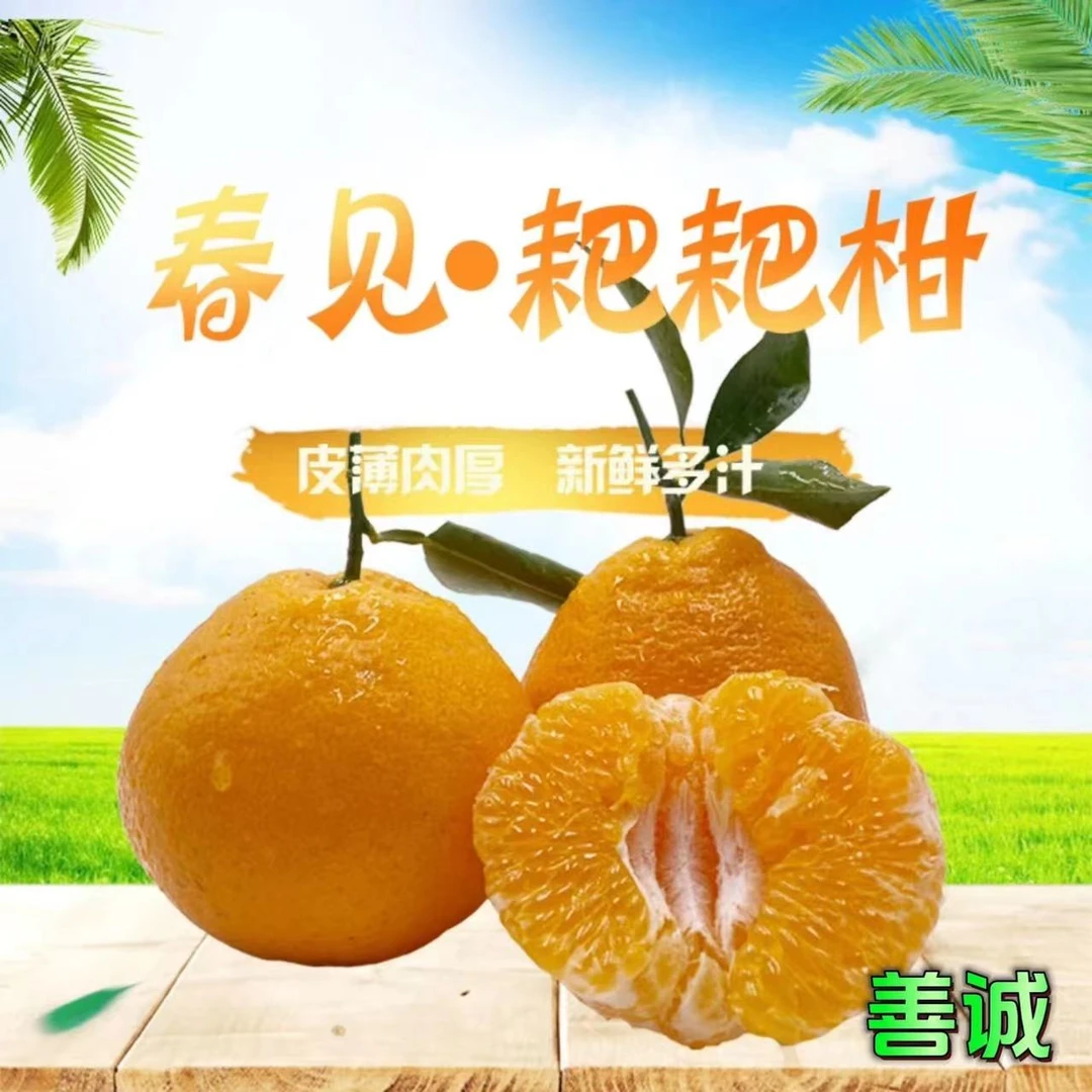 四川春见耙耙柑4.5/8斤新鲜应季果香浓郁粒粒爆汁产地直发