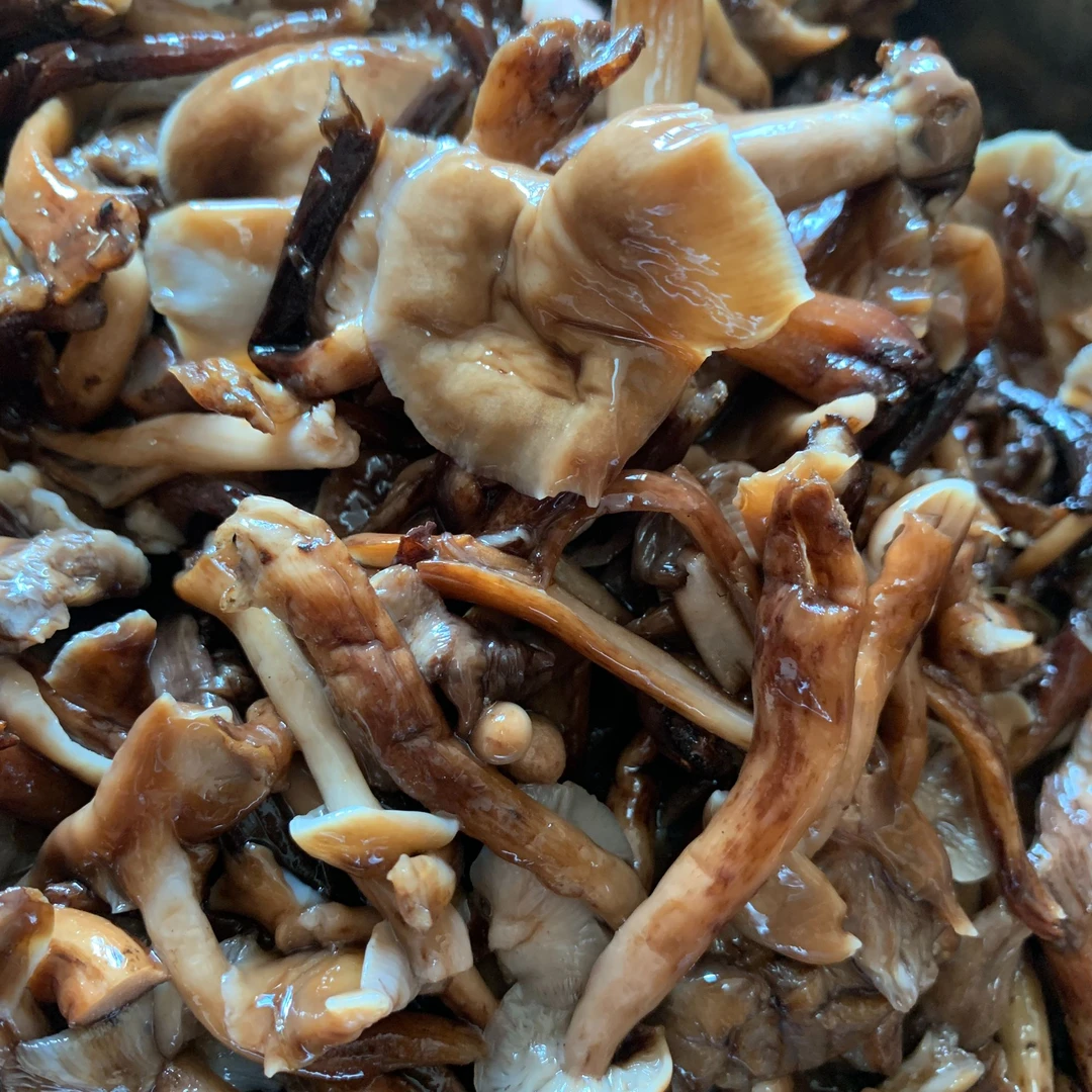 [自营]黑龙江特产野生榛蘑菇新鲜咸蘑菇1斤1袋