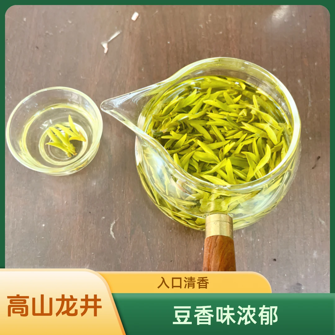 2024年明前高山龙井采摘胖芽,黄绿版豆香，香味滋味醇厚饱满800