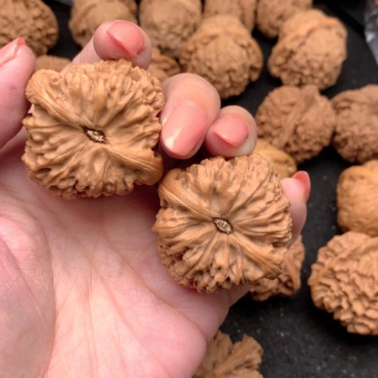 文玩核桃把件多*哥20龟背不退不换