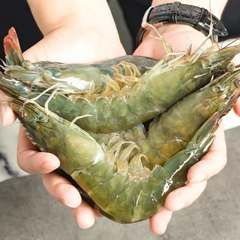 特大号海水大虾 20/30规格 活虾新鲜活冻 鲜甜盐冻虾 净重3斤/盒