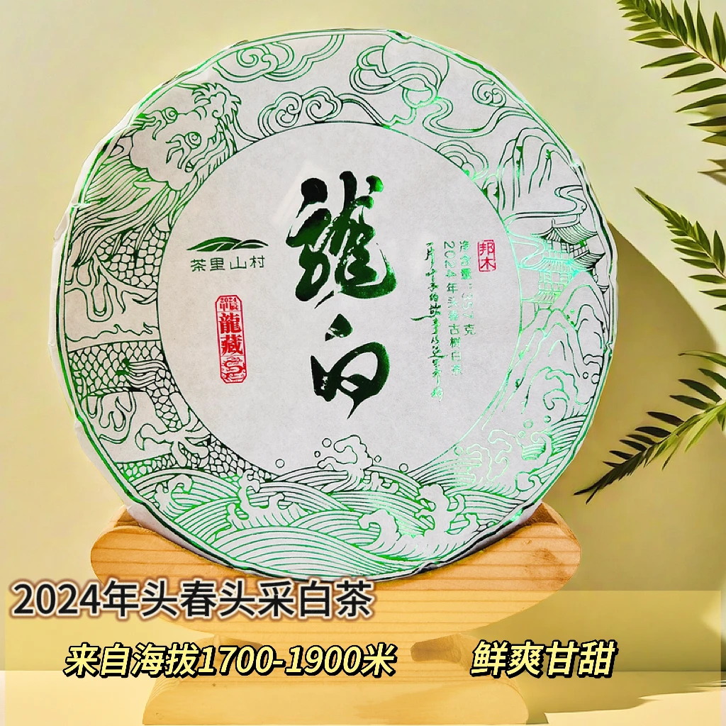 2024/邦木村《龙白/头春头采大古树》云南白茶/有机/357g