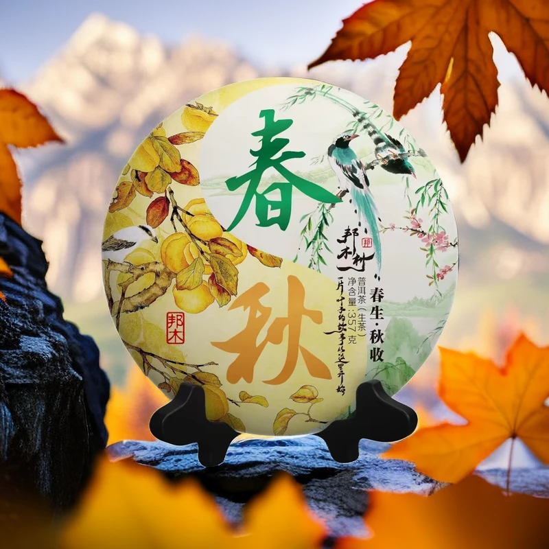 邦木村《春秋》 2023年/古树/生茶/357g