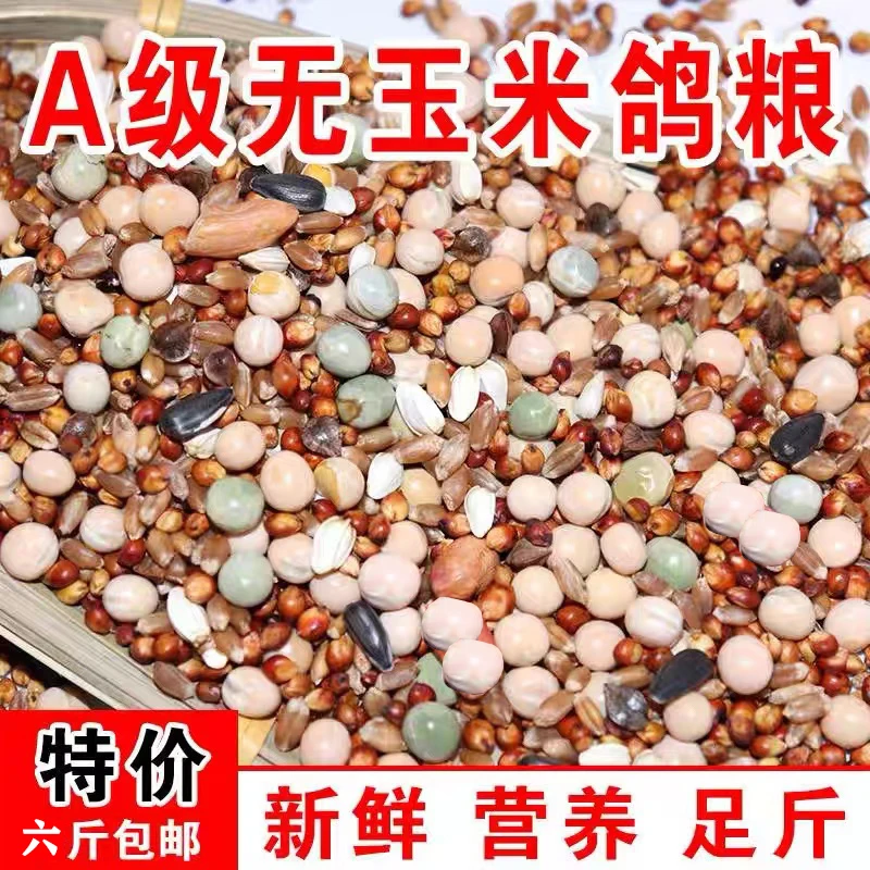 6斤鸽子粮食鸽料无玉米营养鸽粮五谷杂粮鸟食信鸽赛鸽