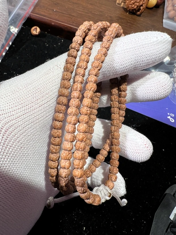 三日红佛手小金刚支持下水