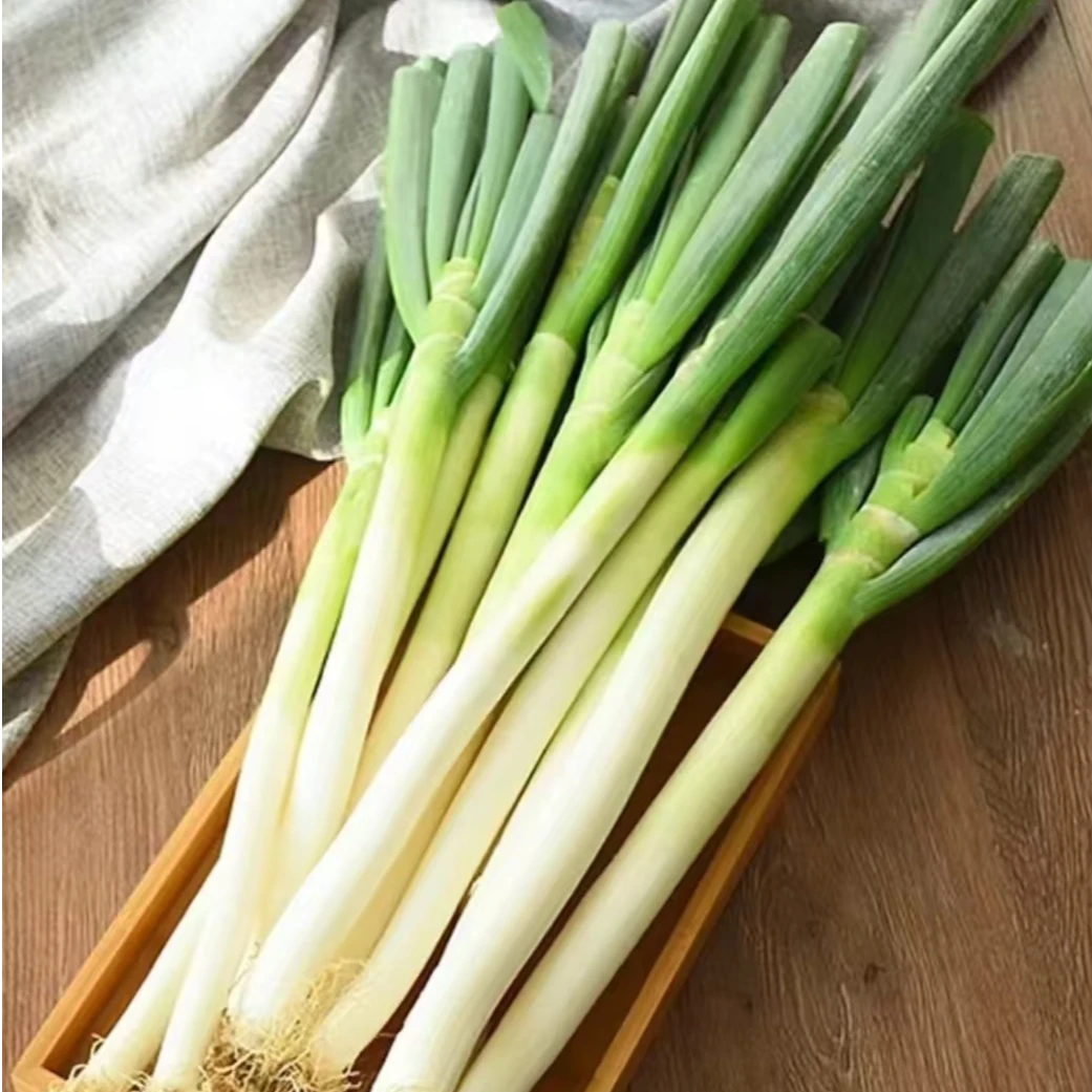 【拍3斤发5斤】正宗山东铁杆大葱农家好大葱现挖现发新鲜大葱