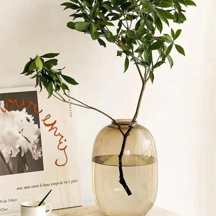 简约落地大肚玻璃花瓶摆件客厅插花落地花器雪柳马醉木透明水养