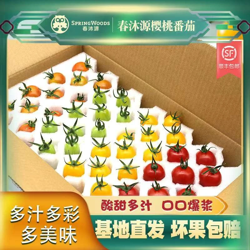 春沐源 樱桃番茄四色浓郁清甜爽口自然产地直发营养新鲜采摘温室