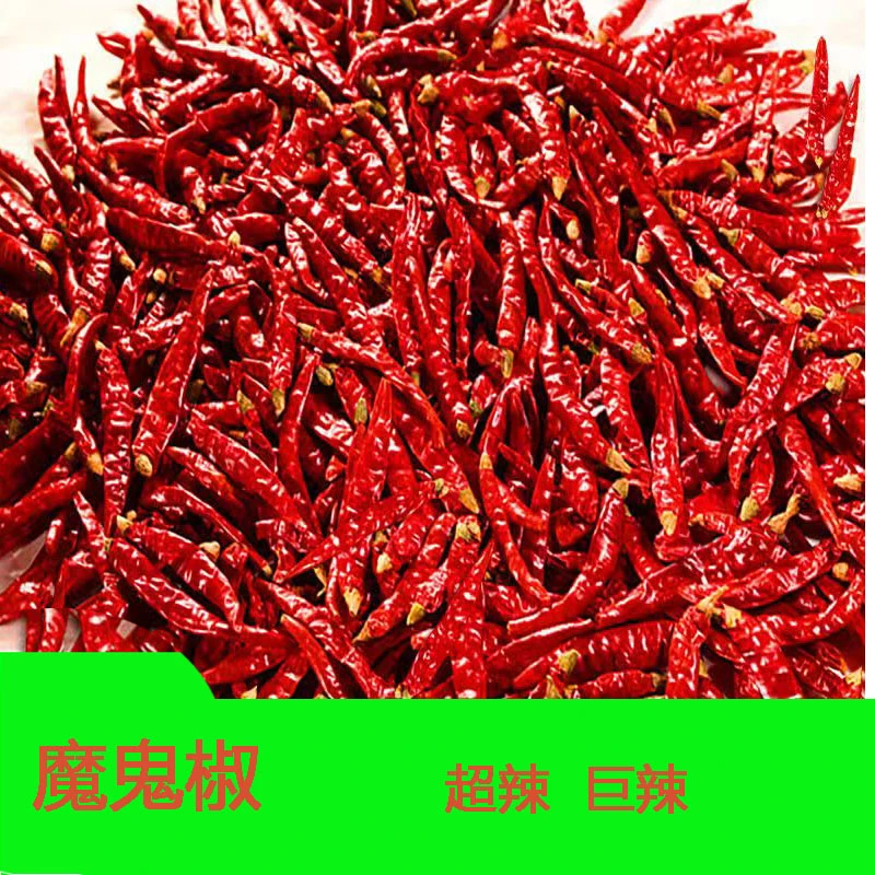 [印度椒S17魔鬼辣]变态辣特辣爆辣干辣椒香超辣 卤煮鸭货专用辣椒