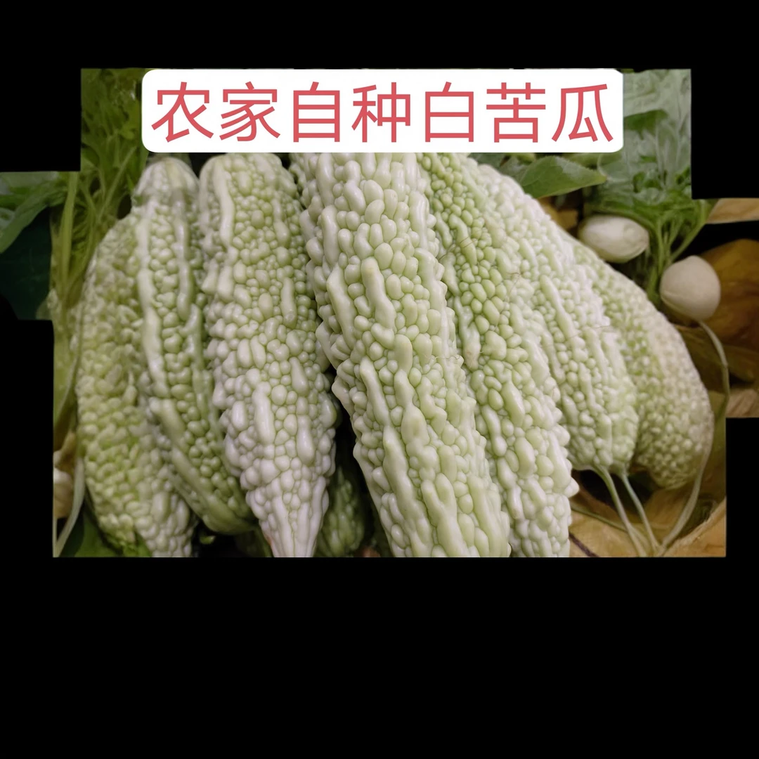 (湖南农家苦瓜)农产品