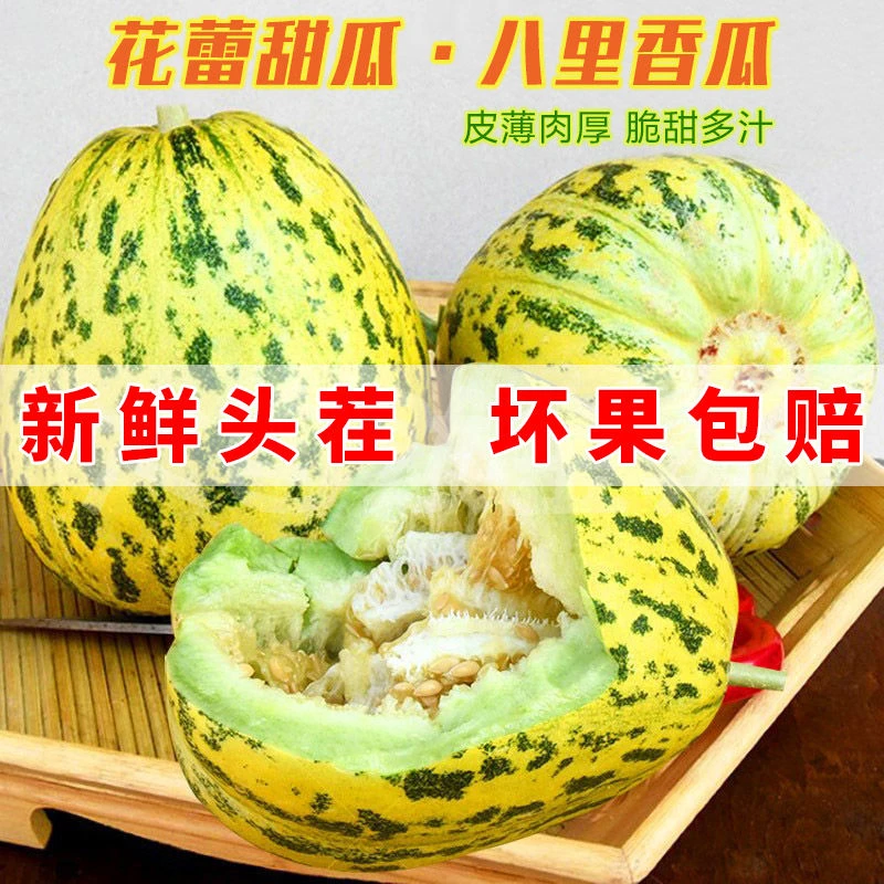 八里香甜瓜头茬新鲜现摘脆甜多汁香甜应季水果整箱花姑娘香瓜