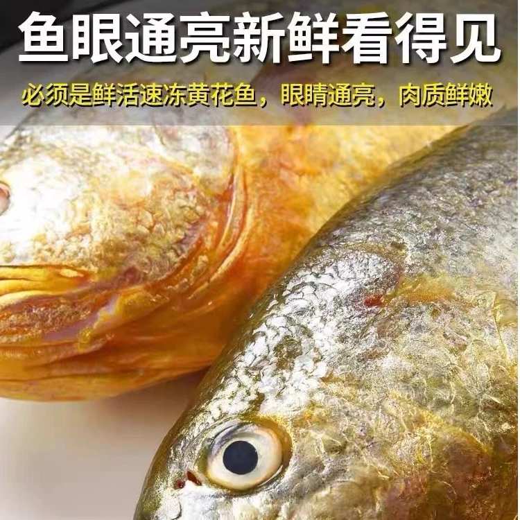 宁德冰鲜大黄花鱼（备注送清蒸或者红烧酱料）