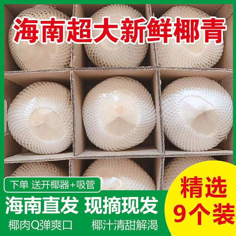 当季海南文昌椰青一箱9个装