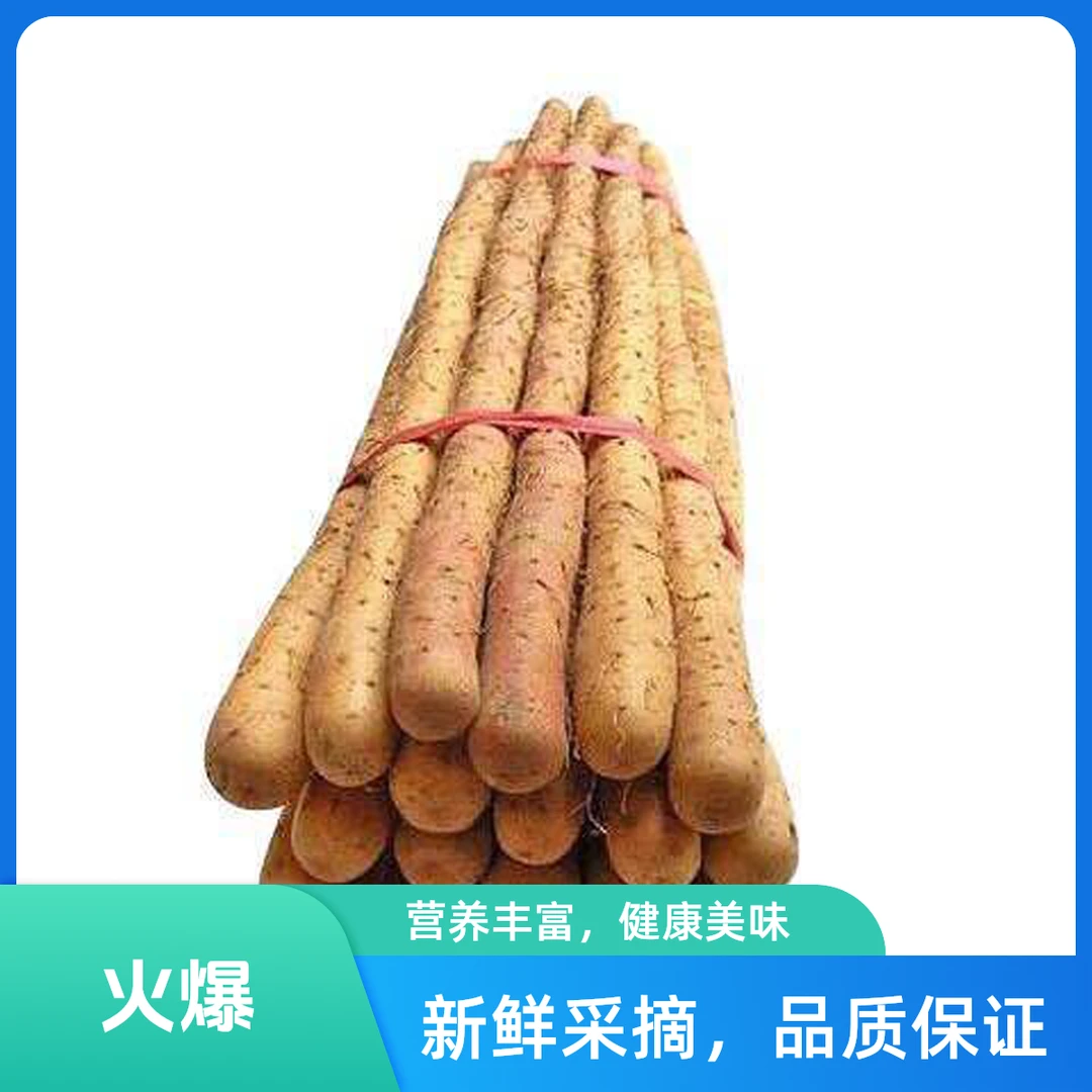 新鲜铁棍山药50-60CM产地直发宝宝辅食铁棍山药铁棍山药