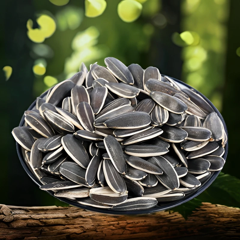 【原味熟瓜子】内蒙古五原葵花籽瓜子颗粒散装香脆大颗甄选产品品质