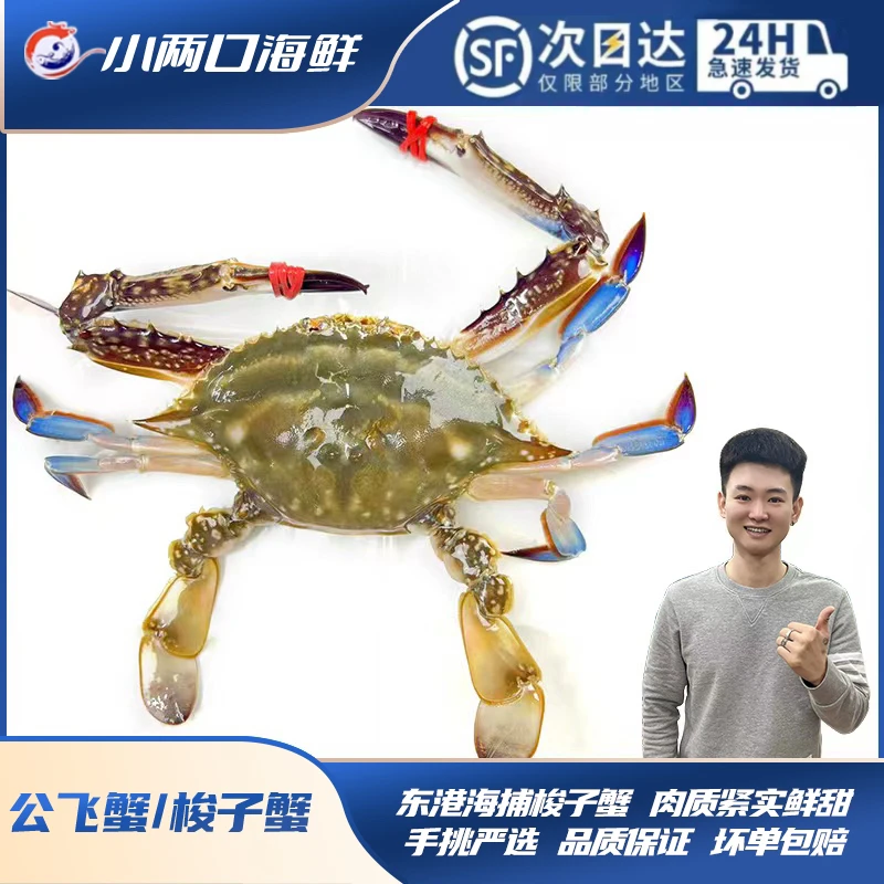 【保鲜不保活】东港海捕公飞蟹子/梭子蟹2斤起拍单只3两起易断腿