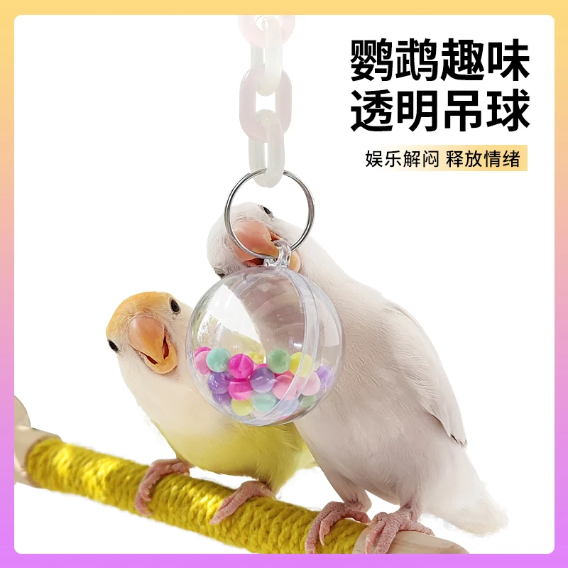 TASHU鹦鹉啃咬玩具牡丹虎皮玄凤响声解闷训练吊球鸟宠物玩具用品