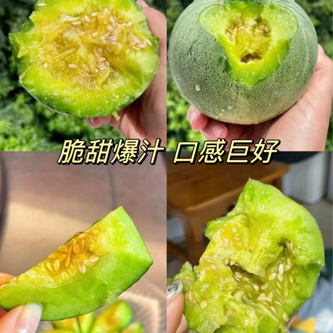 绿宝石甜瓜(中果)G