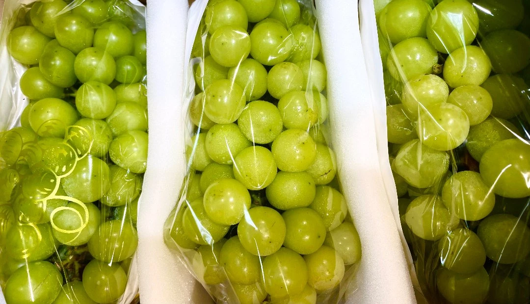 【优选福利品二】晴王1箱（3串）｜毛重7斤左右