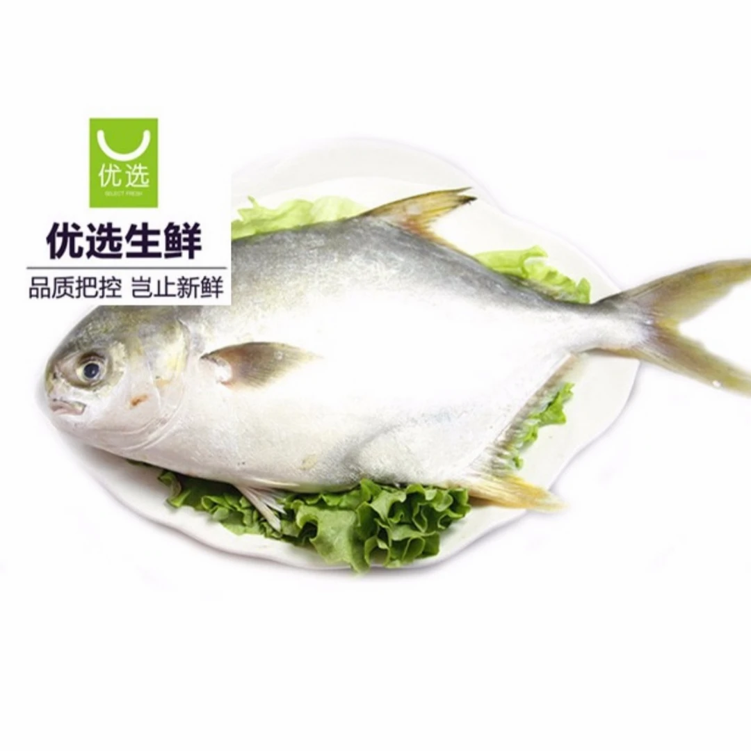 仓鳊鱼（500g，多退少补）
