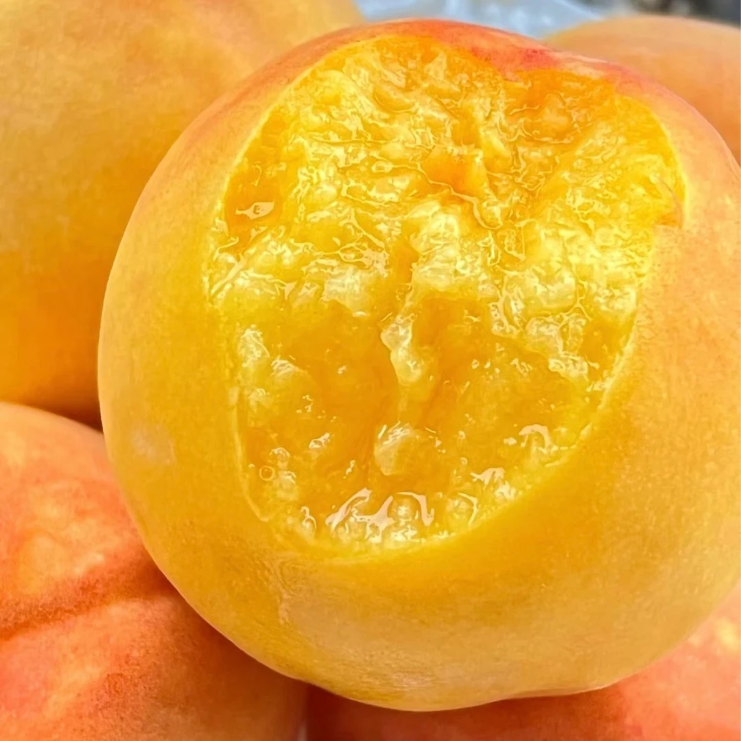 黄金蜜黄桃*1箱（12头）｜箱约3.5斤（中果）黄桃同城送