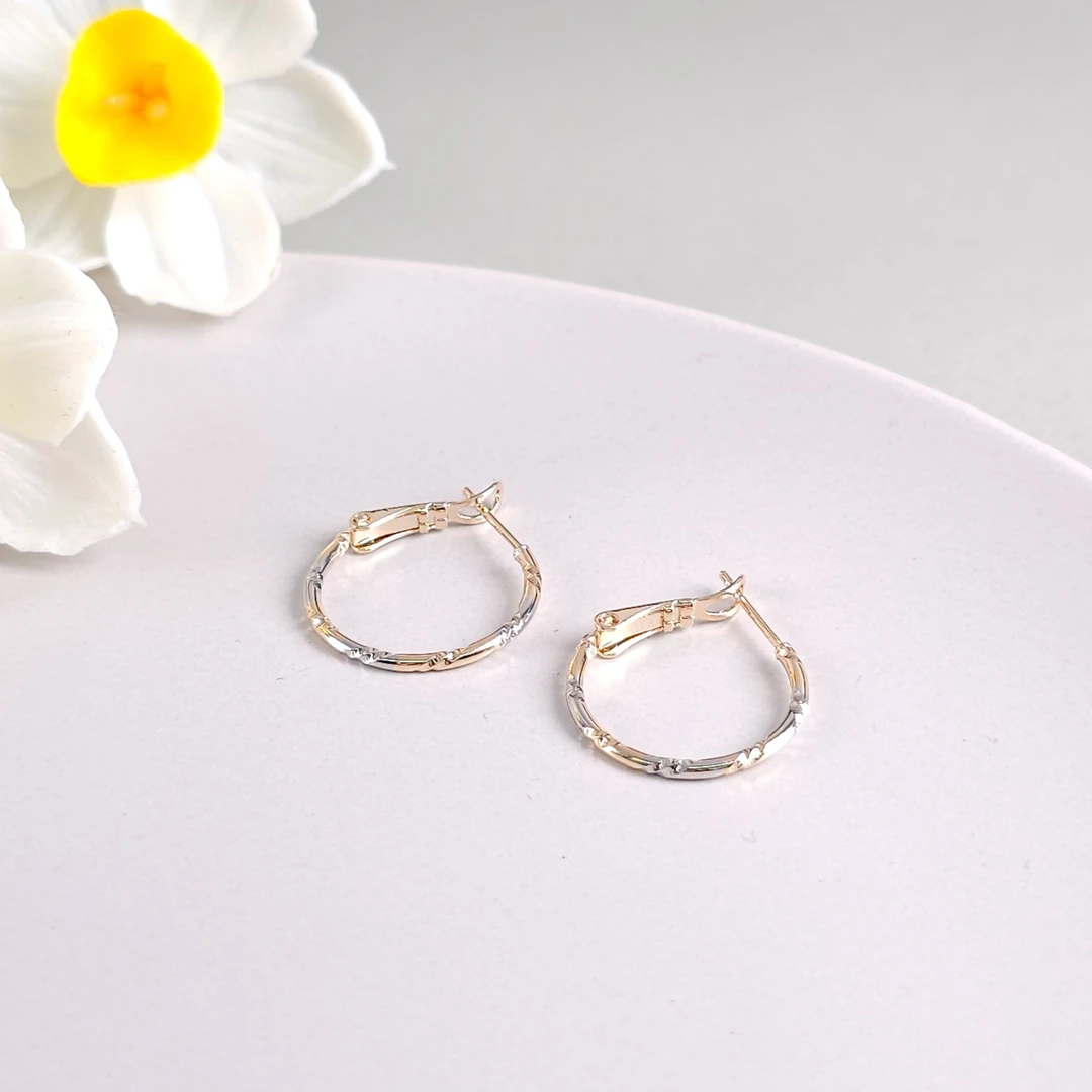 XUPING/旭平首饰 合金耳饰 气质轻奢百搭简约耳环 GDJ X000857570