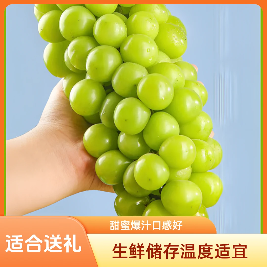 【顺丰冷链包邮】云南正宗阳光玫瑰礼盒装晴王当季现摘水果颗粒饱满