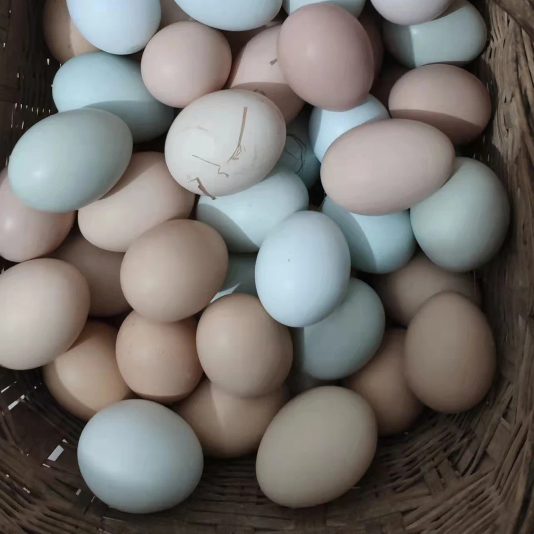 乡公馆鸡蛋新鲜正宗农家散养土鸡蛋草鸡蛋笨鸡蛋谷物蛋初生蛋