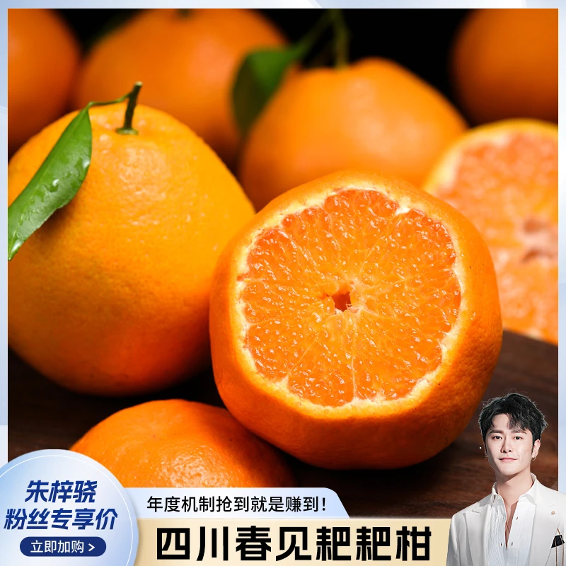 【梓为你选】四川春见耙耙柑，新鲜采摘入口化渣4.5斤装
