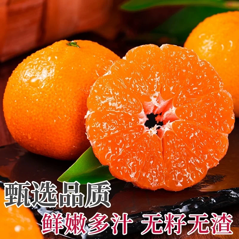 正宗临海涌泉蜜桔橘子新鲜水果当季整箱黄岩密桔子