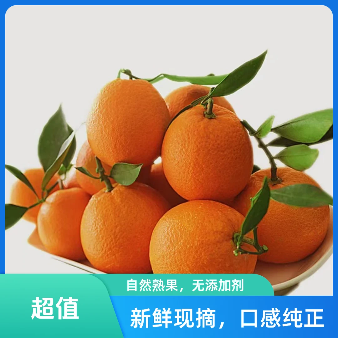 正宗赣南脐橙 江西赣州新鲜当季水果橙子