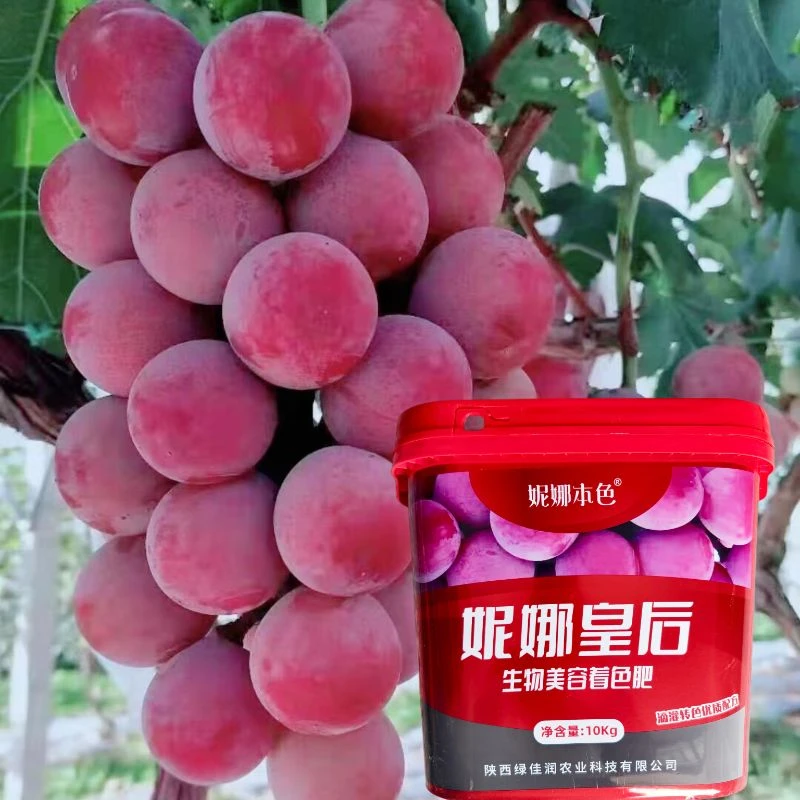 妮娜皇后葡萄上糖上色增甜膨大肥1桶10kg冲施一亩地